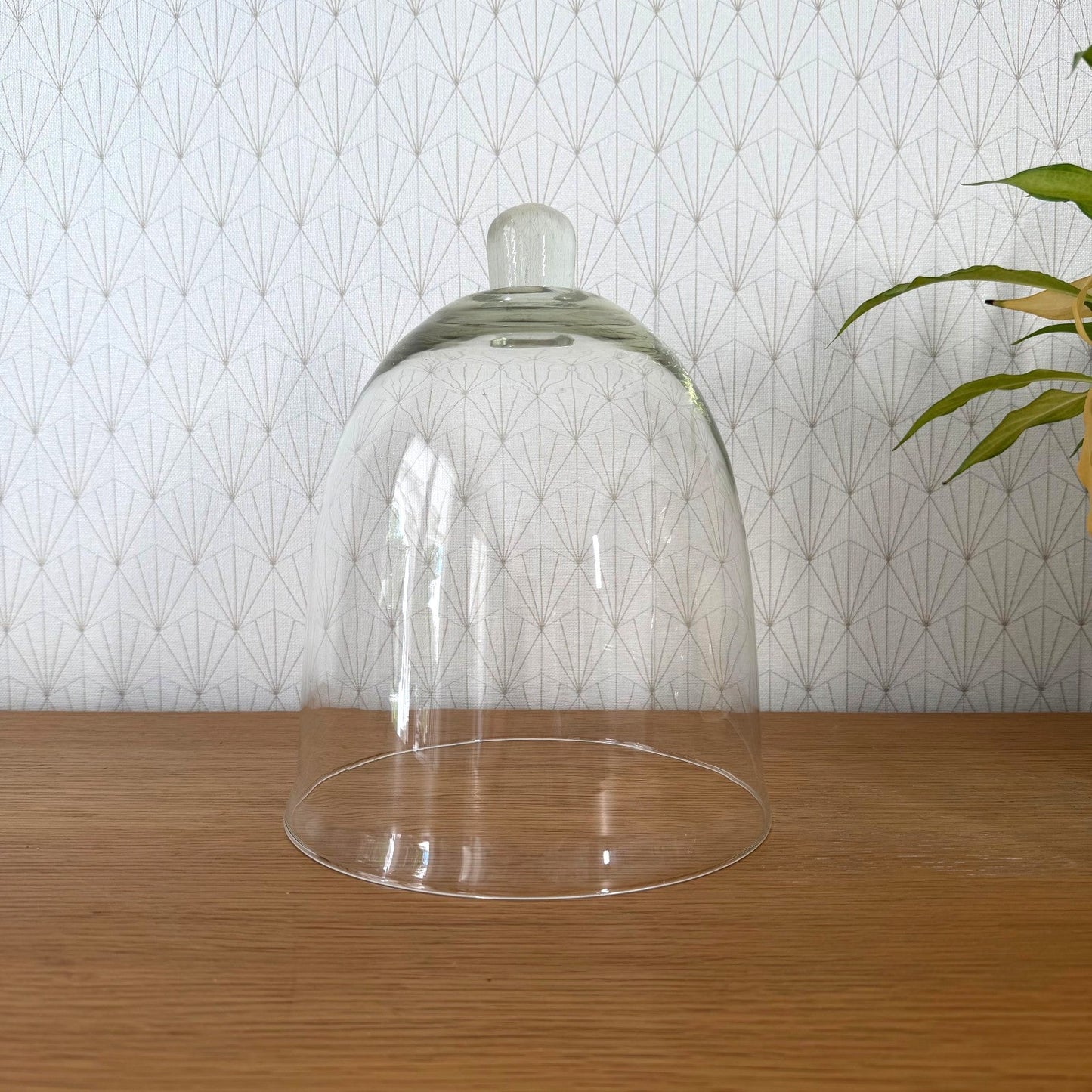 French Glass Cloche Dome Bell Jar Display Cover Vintage 23072610
