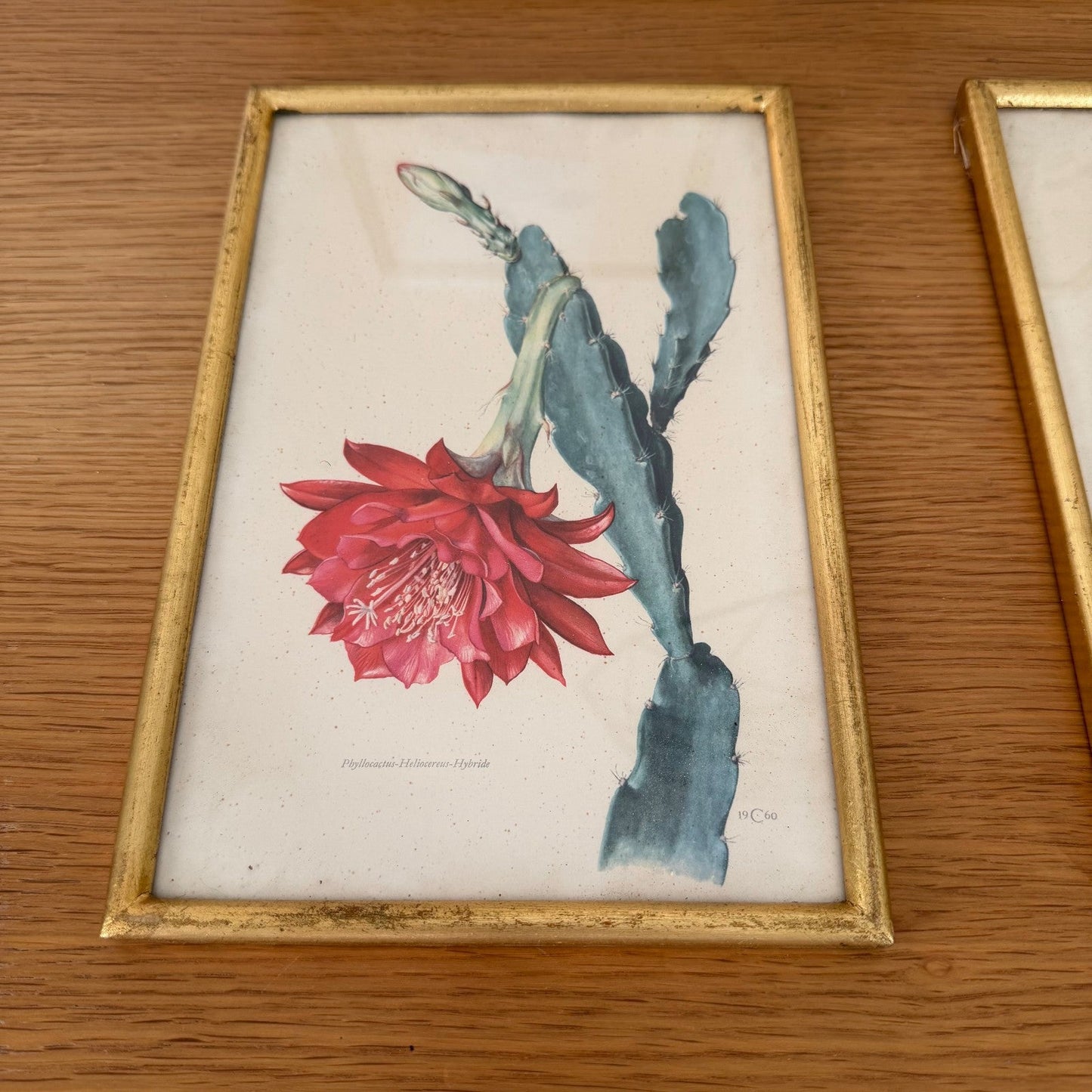 Antique Botanical Print Framed Gold Wood Set of 4 Flowers 2710253