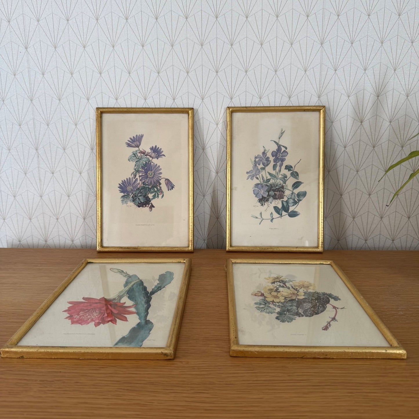 Antique Botanical Print Framed Gold Wood Set of 4 Flowers 2710253