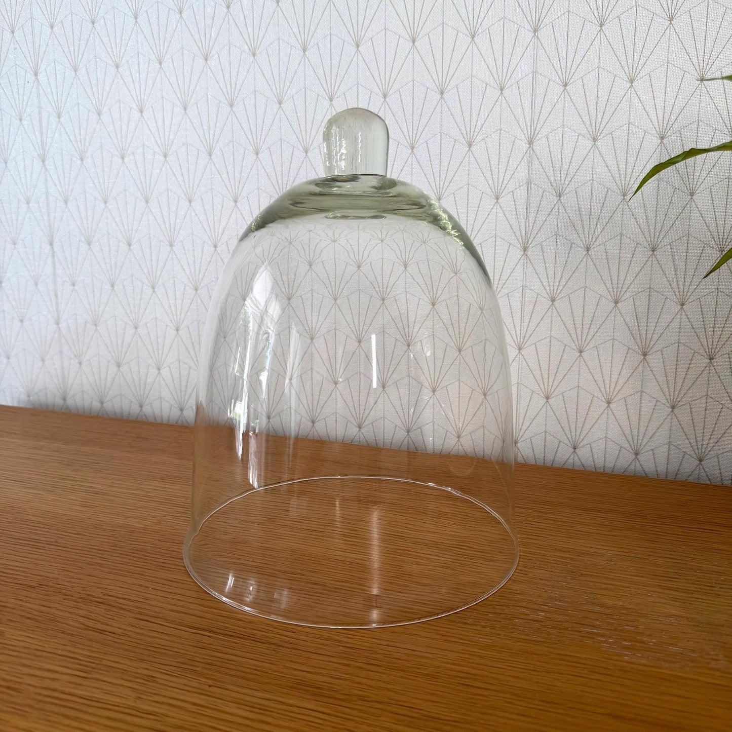 French Glass Cloche Dome Bell Jar Display Cover Vintage 23072610