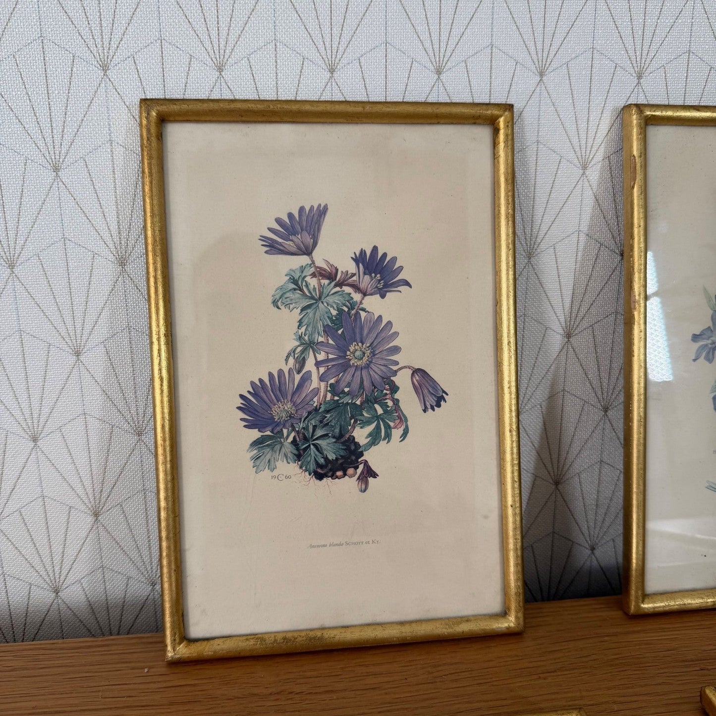 Antique Botanical Print Framed Gold Wood Set of 4 Flowers 2710253