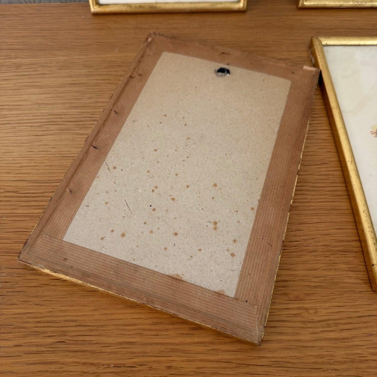 Antique Botanical Print Framed Gold Wood Set of 4 Flowers 2710253