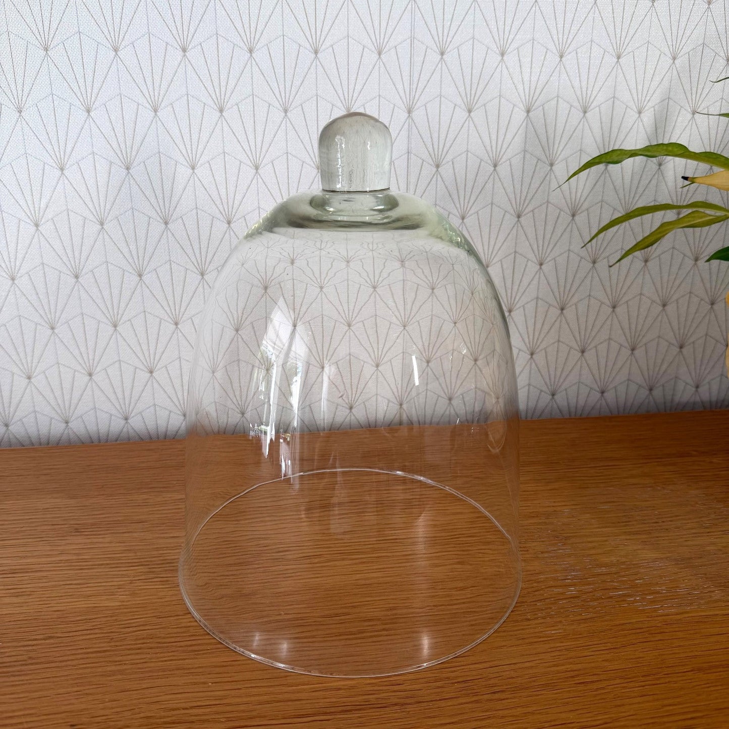French Glass Cloche Dome Bell Jar Display Cover Vintage 23072610
