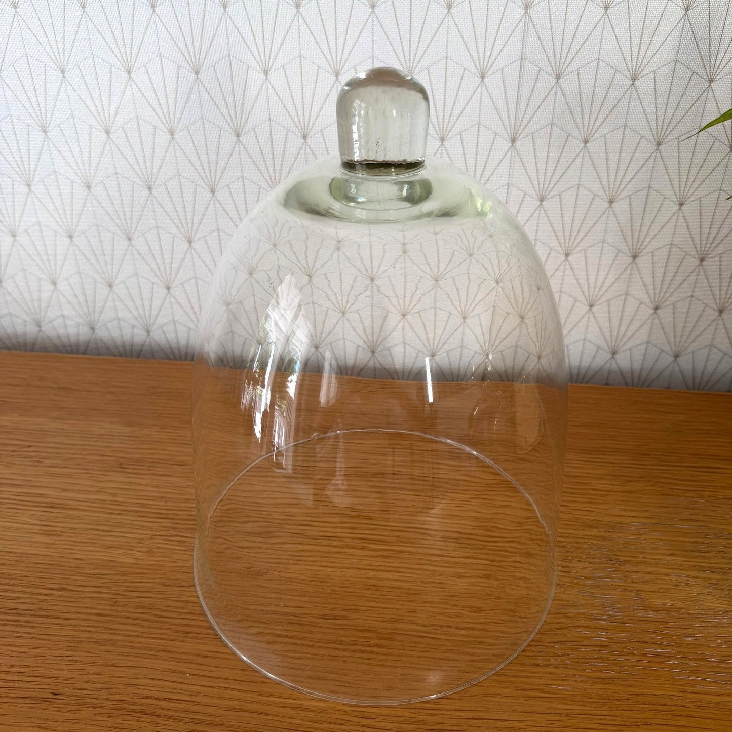 French Glass Cloche Dome Bell Jar Display Cover Vintage 23072610
