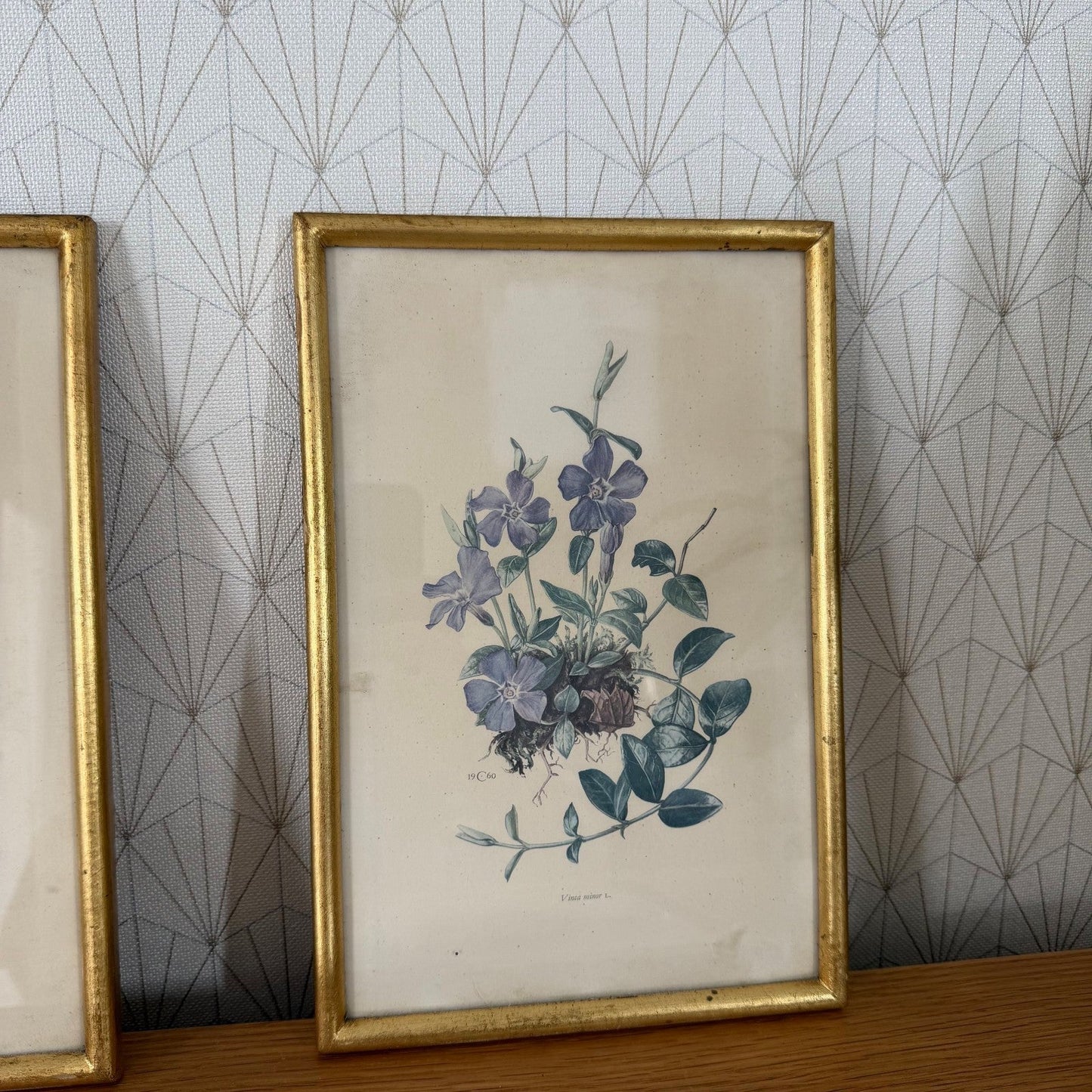 Antique Botanical Print Framed Gold Wood Set of 4 Flowers 2710253